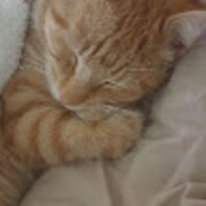 Meet your Posher, Yuliyana